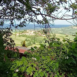 casa-morelli.emilia-romagnahotels.net/